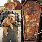 Otkrio sam djedovu tajnu ispod stare vrbe – rođaka je uzela novac, ali ono što je meni ostalo vrijedilo je mnogo više