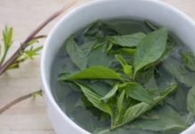 Začin koji izbacuje loš holesterol iz arterija: Otčepljuje krvne sudove, sprečava infarkt! Začin koji izbacuje loš holesterol iz arterija: Otčepljuje krvne sudove, sprečava infarkt! - featured image