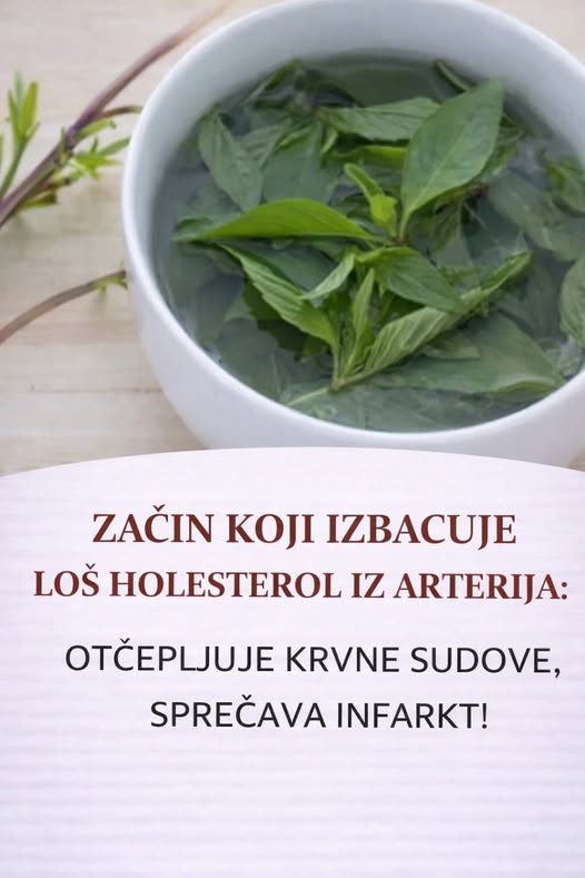Začin koji izbacuje loš holesterol iz arterija: Otčepljuje krvne sudove, sprečava infarkt! - featured image Začin koji izbacuje loš holesterol iz arterija: Otčepljuje krvne sudove, sprečava infarkt! - featured image