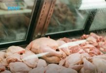 Mesar otkrio koji je najisplativiji komad piletine: Mnogi su se iznenadili Mesar otkrio koji je najisplativiji komad piletine: Mnogi su se iznenadili - featured image