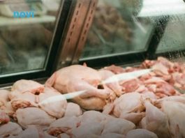 Mesar otkrio koji je najisplativiji komad piletine: Mnogi su se iznenadili Mesar otkrio koji je najisplativiji komad piletine: Mnogi su se iznenadili - featured image