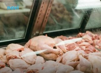 Mesar otkrio koji je najisplativiji komad piletine: Mnogi su se iznenadili Mesar otkrio koji je najisplativiji komad piletine: Mnogi su se iznenadili - featured image