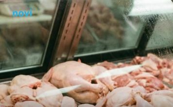 Mesar otkrio koji je najisplativiji komad piletine: Mnogi su se iznenadili Mesar otkrio koji je najisplativiji komad piletine: Mnogi su se iznenadili - featured image