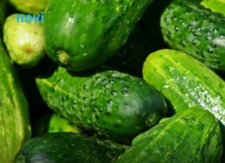 Posadite krastavce s ovim biljkama i imat ćete ih u izobilju Posadite krastavce s ovim biljkama i imat ćete ih u izobilju - featured image