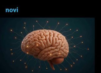 Ovo su 4 mentalno najsnažnija znaka horoskopa: Um im je jači od čelika Ovo su 4 mentalno najsnažnija znaka horoskopa: Um im je jači od čelika - featured image