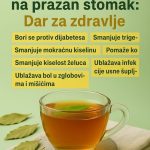 ČAJ OD LOVORA NA PRAZAN STOMAK: Jednostavan jutarnji ritual za PRIRODNO zdravlje ČAJ OD LOVORA NA PRAZAN STOMAK: Jednostavan jutarnji ritual za PRIRODNO zdravlje - featured image