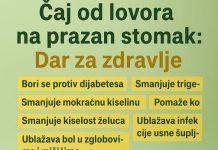 ČAJ OD LOVORA NA PRAZAN STOMAK: Jednostavan jutarnji ritual za PRIRODNO zdravlje ČAJ OD LOVORA NA PRAZAN STOMAK: Jednostavan jutarnji ritual za PRIRODNO zdravlje - featured image