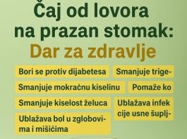 ČAJ OD LOVORA NA PRAZAN STOMAK: Jednostavan jutarnji ritual za PRIRODNO zdravlje ČAJ OD LOVORA NA PRAZAN STOMAK: Jednostavan jutarnji ritual za PRIRODNO zdravlje - featured image