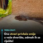 Ove stvari privlače zmije u vaše dvorište, odmah ih se riješite! Ove stvari privlače zmije u vaše dvorište, odmah ih se riješite! - featured image