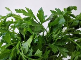 Ovo morate probati: Lijek za srce po receptu starom 800 godina Ovo morate probati: Lijek za srce po receptu starom 800 godina - featured image