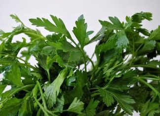 Ovo morate probati: Lijek za srce po receptu starom 800 godina Ovo morate probati: Lijek za srce po receptu starom 800 godina - featured image