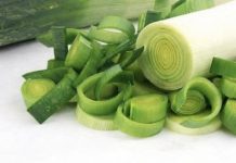 OVO POVRĆE LIJEČI 6 OPAKIH BOLESTI: Jest ćete ga kao ludi nakon ovoga OVO POVRĆE LIJEČI 6 OPAKIH BOLESTI: Jest ćete ga kao ludi nakon ovoga - featured image