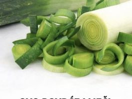 OVO POVRĆE LIJEČI 6 OPAKIH BOLESTI: Jest ćete ga kao ludi nakon ovoga OVO POVRĆE LIJEČI 6 OPAKIH BOLESTI: Jest ćete ga kao ludi nakon ovoga - featured image