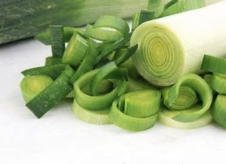 OVO POVRĆE LIJEČI 6 OPAKIH BOLESTI: Jest ćete ga kao ludi nakon ovoga OVO POVRĆE LIJEČI 6 OPAKIH BOLESTI: Jest ćete ga kao ludi nakon ovoga - featured image