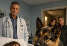 Zagrljaj pred operacijom i lavež koji je otkrio istinu