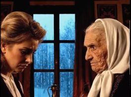 Snaha je htela da me pošalje u starački dom i proda moju rođenu kuću čim mi je muž umro, a onda je ulični mačak kog sam spasila izvukao žuti koverat ispod sećije koji je u sekundi srušio sve njene zle planove Snaha je htela da me pošalje u starački dom i proda moju rođenu kuću čim mi je muž umro, a onda je ulični mačak kog sam spasila izvukao žuti koverat ispod sećije koji je u sekundi srušio sve njene zle planove - featured image