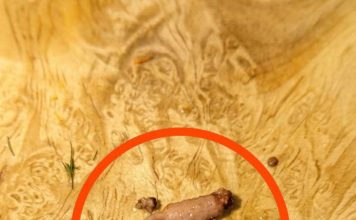 Kuvao sam mleveno meso i kada sam ga izvadio iz tiganja, primetio sam čudan predmet koji nije ličio na meso. Kuvao sam mleveno meso i kada sam ga izvadio iz tiganja, primetio sam čudan predmet koji nije ličio na meso. - featured image