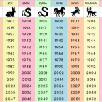 NIJE NI ČUDO ŠTO JE NAJTAČNIJI: Saznajte šta ste u kineskom horoskopu i šta vam poručuje