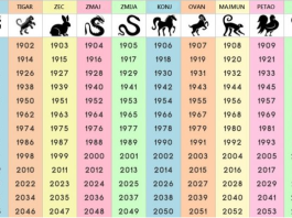 NIJE NI ČUDO ŠTO JE NAJTAČNIJI: Saznajte šta ste u kineskom horoskopu i šta vam poručuje