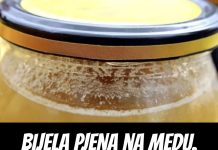BIJELA PJENA na medu. Malo ljudi zna šta to zaista znači! BIJELA PJENA na medu. Malo ljudi zna šta to zaista znači! - featured image