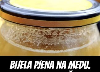 BIJELA PJENA na medu. Malo ljudi zna šta to zaista znači! BIJELA PJENA na medu. Malo ljudi zna šta to zaista znači! - featured image