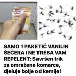 SAMO 1 PAKETIĆ VANILIN ŠEĆERA I NE TREBA VAM REPELENT: Savršen trik za omražene komarce, djeluje bolje od kemije! SAMO 1 PAKETIĆ VANILIN ŠEĆERA I NE TREBA VAM REPELENT: Savršen trik za omražene komarce, djeluje bolje od kemije! - featured image