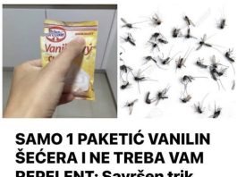 SAMO 1 PAKETIĆ VANILIN ŠEĆERA I NE TREBA VAM REPELENT: Savršen trik za omražene komarce, djeluje bolje od kemije! SAMO 1 PAKETIĆ VANILIN ŠEĆERA I NE TREBA VAM REPELENT: Savršen trik za omražene komarce, djeluje bolje od kemije! - featured image