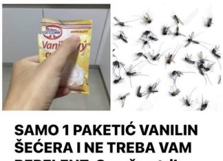 SAMO 1 PAKETIĆ VANILIN ŠEĆERA I NE TREBA VAM REPELENT: Savršen trik za omražene komarce, djeluje bolje od kemije! SAMO 1 PAKETIĆ VANILIN ŠEĆERA I NE TREBA VAM REPELENT: Savršen trik za omražene komarce, djeluje bolje od kemije! - featured image