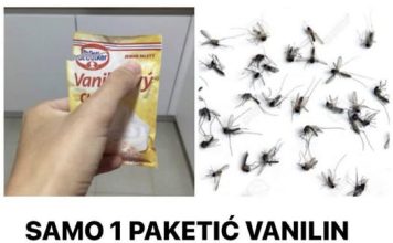 SAMO 1 PAKETIĆ VANILIN ŠEĆERA I NE TREBA VAM REPELENT: Savršen trik za omražene komarce, djeluje bolje od kemije! SAMO 1 PAKETIĆ VANILIN ŠEĆERA I NE TREBA VAM REPELENT: Savršen trik za omražene komarce, djeluje bolje od kemije! - featured image
