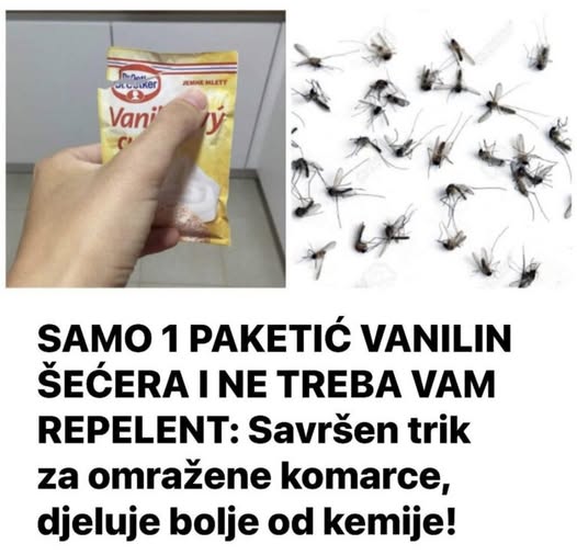 SAMO 1 PAKETIĆ VANILIN ŠEĆERA I NE TREBA VAM REPELENT: Savršen trik za omražene komarce, djeluje bolje od kemije! - featured image
