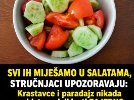 SVI IH MIJEŠAMO U SALATAMA, STRUČNJACI UPOZORAVAJU: Krastavce i paradajz nikada ne biste smjeli jesti ZAJEDNO u ISTOJ salati, EVO ZAŠTO! SVI IH MIJEŠAMO U SALATAMA, STRUČNJACI UPOZORAVAJU: Krastavce i paradajz nikada ne biste smjeli jesti ZAJEDNO u ISTOJ salati, EVO ZAŠTO! - featured image