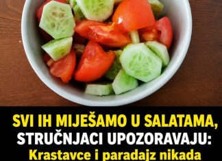 SVI IH MIJEŠAMO U SALATAMA, STRUČNJACI UPOZORAVAJU: Krastavce i paradajz nikada ne biste smjeli jesti ZAJEDNO u ISTOJ salati, EVO ZAŠTO! SVI IH MIJEŠAMO U SALATAMA, STRUČNJACI UPOZORAVAJU: Krastavce i paradajz nikada ne biste smjeli jesti ZAJEDNO u ISTOJ salati, EVO ZAŠTO! - featured image