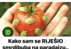 KAKO SAM SE RIJEŠIO SMRDIBUBA SA PARADAJZA! Ovu stvar jednostavno ne mogu da podnesu – prirodno i efikasno KAKO SAM SE RIJEŠIO SMRDIBUBA SA PARADAJZA! Ovu stvar jednostavno ne mogu da podnesu – prirodno i efikasno - featured image