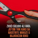 Zvuči suludo ali radi: Jeftini trik kako da naoštrite makaze u najkraćem roku Zvuči suludo ali radi: Jeftini trik kako da naoštrite makaze u najkraćem roku - featured image