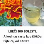 LIJEČI 100 BOLESTI, A KOD NAS RASTE KAO KOROV: Pijte čaj od KADIFE za ove tegobe LIJEČI 100 BOLESTI, A KOD NAS RASTE KAO KOROV: Pijte čaj od KADIFE za ove tegobe - featured image