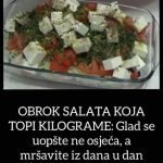 OBROK SALATA KOJA TOPI KILOGRAME: Glad se uopšte ne oseća, a mršavite iz dana u dan OBROK SALATA KOJA TOPI KILOGRAME: Glad se uopšte ne oseća, a mršavite iz dana u dan - featured image