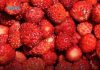Kako pravilno oprati jagode: Jednostavan trik uklanja prljavštinu i pesticide za nekoliko minuta Kako pravilno oprati jagode: Jednostavan trik uklanja prljavštinu i pesticide za nekoliko minuta - featured image