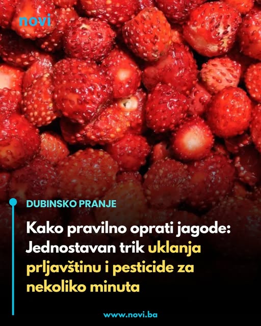 Kako pravilno oprati jagode: Jednostavan trik uklanja prljavštinu i pesticide za nekoliko minuta - featured image