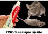 TRIK Da Se Trajno Riješite Pacova I Miševa U Kući Pomoću Paste Za Zube: Neće Se Više Približiti Kući!