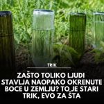 Zašto toliko ljudi stavlja naopako okrenute boce u zemlju? To je stari trik, evo za šta Zašto toliko ljudi stavlja naopako okrenute boce u zemlju? To je stari trik, evo za šta - featured image
