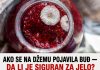 AKO SE NA DŽEMU POJAVILA BUĐ — DA LI JE SIGURAN ZA JELO? Odgovor bi vas mogao šokirati! AKO SE NA DŽEMU POJAVILA BUĐ — DA LI JE SIGURAN ZA JELO? Odgovor bi vas mogao šokirati! - featured image