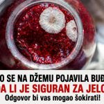 AKO SE NA DŽEMU POJAVILA BUĐ — DA LI JE SIGURAN ZA JELO? Odgovor bi vas mogao šokirati! AKO SE NA DŽEMU POJAVILA BUĐ — DA LI JE SIGURAN ZA JELO? Odgovor bi vas mogao šokirati! - featured image