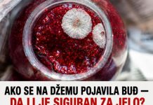 AKO SE NA DŽEMU POJAVILA BUĐ — DA LI JE SIGURAN ZA JELO? Odgovor bi vas mogao šokirati! AKO SE NA DŽEMU POJAVILA BUĐ — DA LI JE SIGURAN ZA JELO? Odgovor bi vas mogao šokirati! - featured image