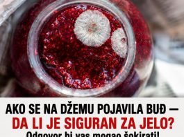 AKO SE NA DŽEMU POJAVILA BUĐ — DA LI JE SIGURAN ZA JELO? Odgovor bi vas mogao šokirati! AKO SE NA DŽEMU POJAVILA BUĐ — DA LI JE SIGURAN ZA JELO? Odgovor bi vas mogao šokirati! - featured image