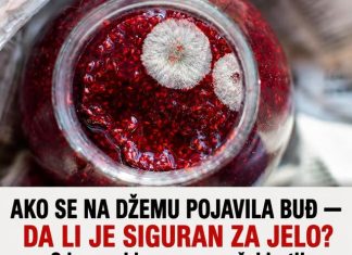 AKO SE NA DŽEMU POJAVILA BUĐ — DA LI JE SIGURAN ZA JELO? Odgovor bi vas mogao šokirati! AKO SE NA DŽEMU POJAVILA BUĐ — DA LI JE SIGURAN ZA JELO? Odgovor bi vas mogao šokirati! - featured image