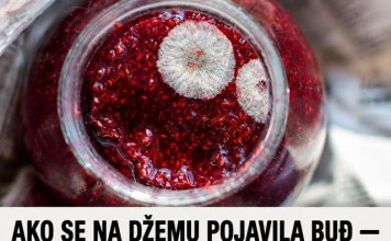 AKO SE NA DŽEMU POJAVILA BUĐ — DA LI JE SIGURAN ZA JELO? Odgovor bi vas mogao šokirati! AKO SE NA DŽEMU POJAVILA BUĐ — DA LI JE SIGURAN ZA JELO? Odgovor bi vas mogao šokirati! - featured image