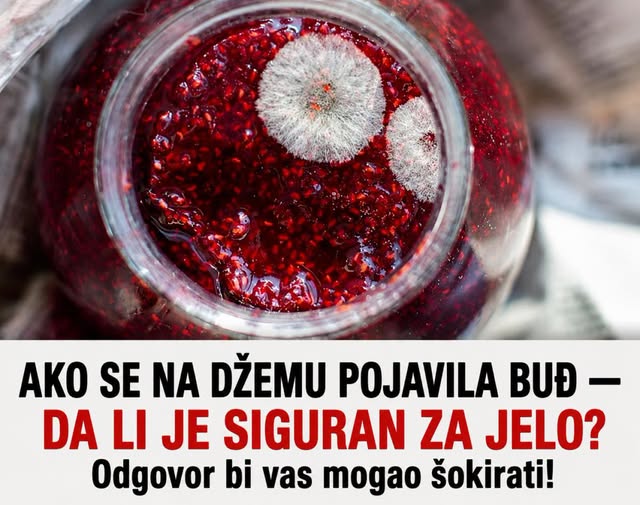 AKO SE NA DŽEMU POJAVILA BUĐ — DA LI JE SIGURAN ZA JELO? Odgovor bi vas mogao šokirati! - featured image AKO SE NA DŽEMU POJAVILA BUĐ — DA LI JE SIGURAN ZA JELO? Odgovor bi vas mogao šokirati! - featured image