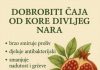 DOBROBITI ČAJA OD KORE DIVLJEG NARA DOBROBITI ČAJA OD KORE DIVLJEG NARA - featured image