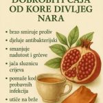 DOBROBITI ČAJA OD KORE DIVLJEG NARA DOBROBITI ČAJA OD KORE DIVLJEG NARA - featured image