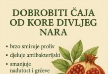 DOBROBITI ČAJA OD KORE DIVLJEG NARA DOBROBITI ČAJA OD KORE DIVLJEG NARA - featured image